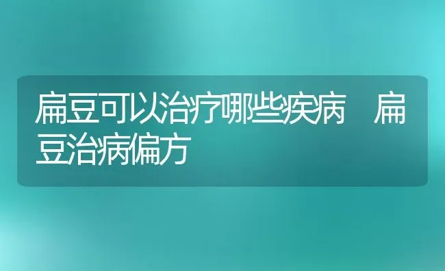 扁豆可以治疗哪些疾病 扁豆治病偏方 | 养殖资料投稿