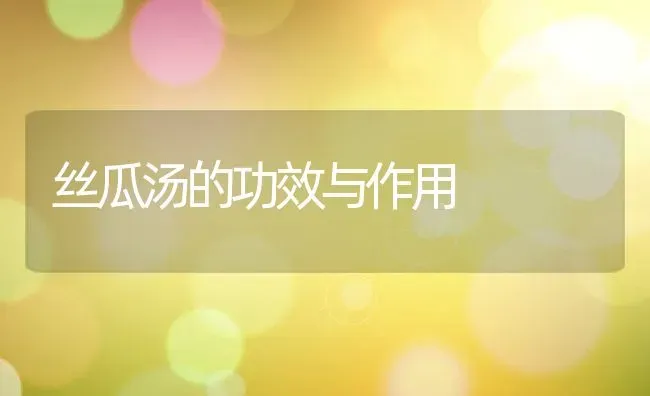 丝瓜汤的功效与作用 | 养殖资料投稿