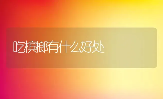 吃槟榔有什么好处 | 养殖资料投稿