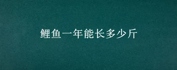 鲤鱼一年能长多少斤