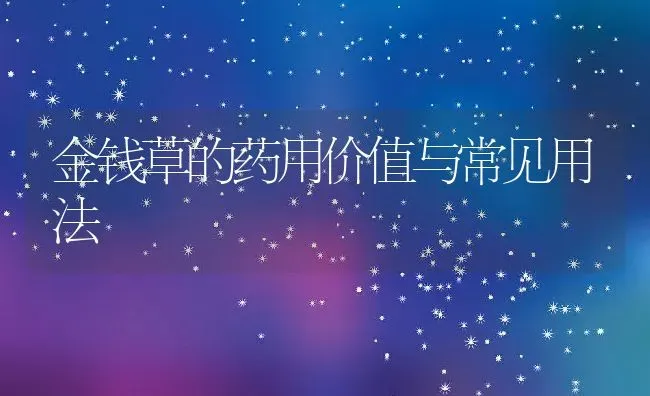 金钱草的药用价值与常见用法 | 养殖资料投稿