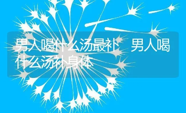 男人喝什么汤最补 男人喝什么汤补身体 | 养殖资料投稿