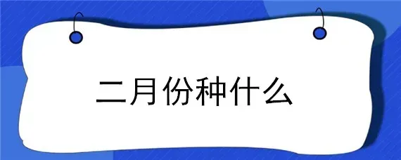 二月份种什么