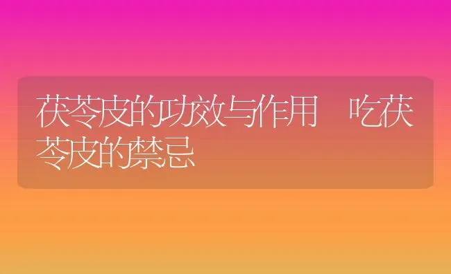 茯苓皮的功效与作用 吃茯苓皮的禁忌 | 养殖资料投稿