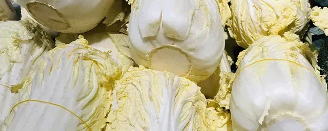 白菜褐斑病如何防治