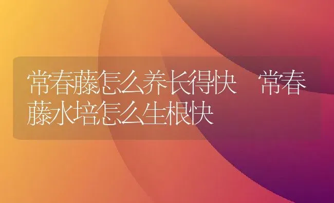 常春藤怎么养长得快 常春藤水培怎么生根快 | 养殖资料投稿