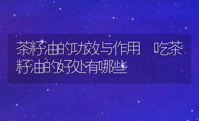 茶籽油的功效与作用 吃茶籽油的好处有哪些 | 养殖资料投稿