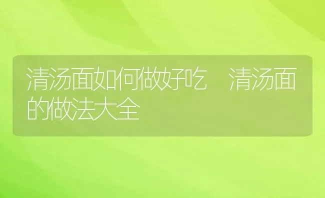 清汤面如何做好吃 清汤面的做法大全 | 养殖资讯