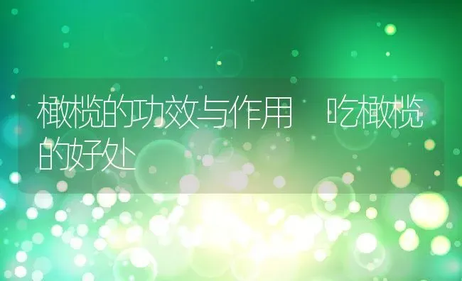 橄榄的功效与作用 吃橄榄的好处 | 养殖资料投稿