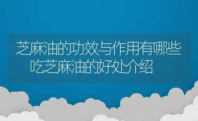 芝麻油的功效与作用有哪些 吃芝麻油的好处介绍 | 养殖资料投稿