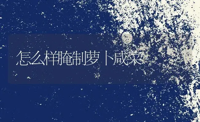 怎么样腌制萝卜咸菜 | 养殖资料投稿