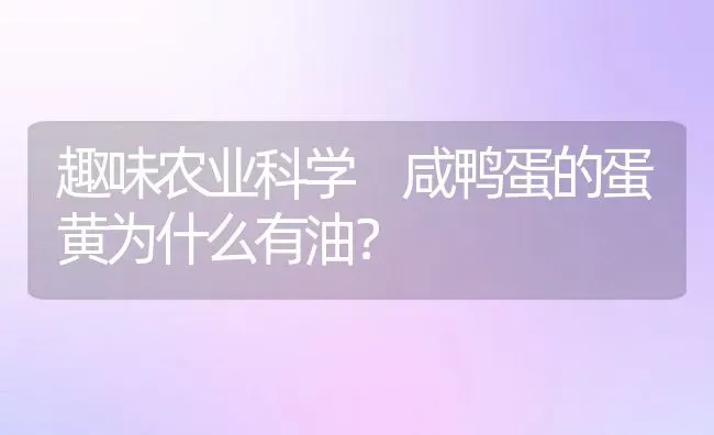 趣味农业科学 咸鸭蛋的蛋黄为什么有油？ | 养殖资料投稿