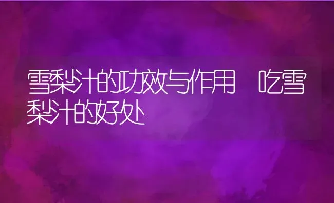 雪梨汁的功效与作用 吃雪梨汁的好处 | 养殖资料投稿