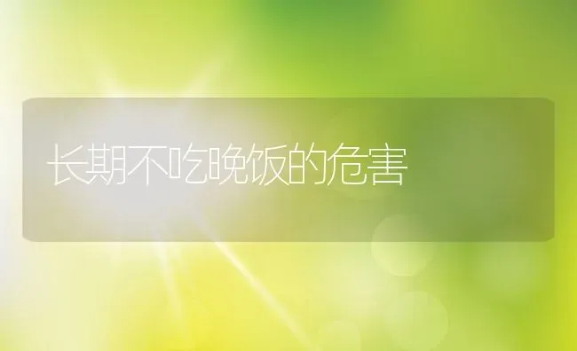 长期不吃晚饭的危害 | 养殖资料投稿