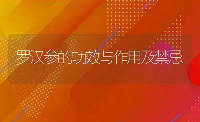 罗汉参的功效与作用及禁忌 | 养殖资料投稿