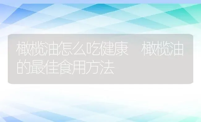 橄榄油怎么吃健康 橄榄油的最佳食用方法 | 养殖资料投稿