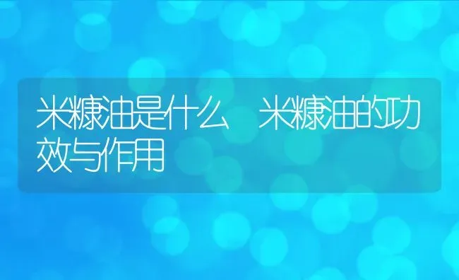 川芎的功效与作用 川芎的食用方法 | 养殖资料投稿