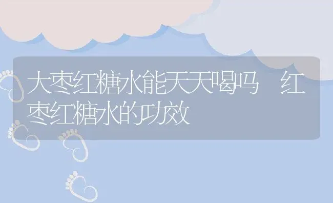 大枣红糖水能天天喝吗 红枣红糖水的功效 | 养殖资料投稿