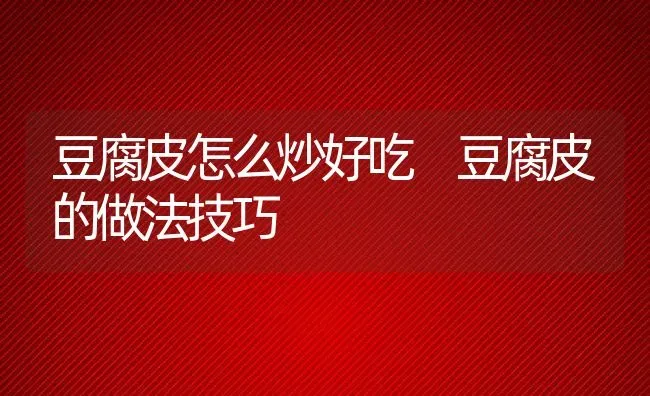 豆腐皮怎么炒好吃 豆腐皮的做法技巧 | 养殖资料投稿