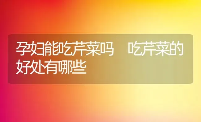 含维生素a的食物有哪些 维生素a有什么作用 | 养殖资料投稿