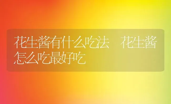 花生酱有什么吃法 花生酱怎么吃最好吃 | 养殖资料投稿