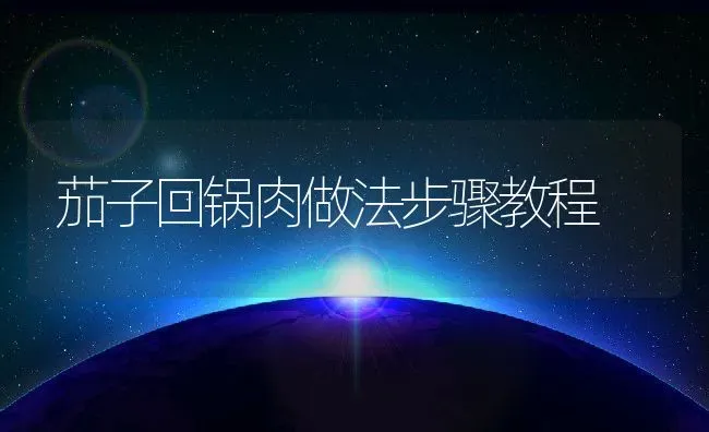 茄子回锅肉做法步骤教程 | 养殖资料投稿