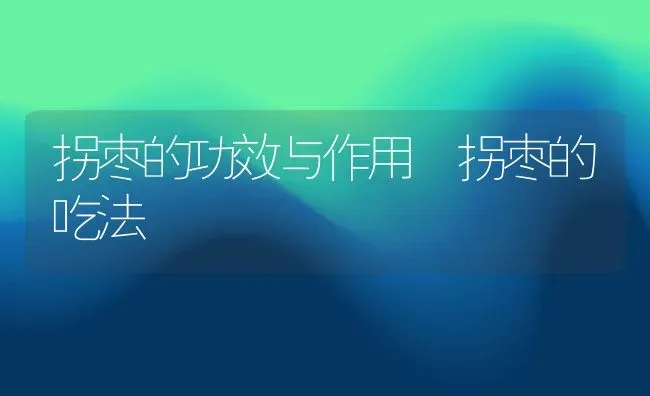 拐枣的功效与作用 拐枣的吃法 | 养殖资料投稿