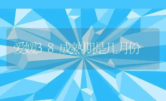 爱媛38成熟期是几月份 | 养殖资讯