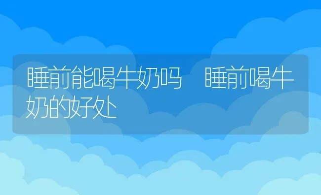 睡前能喝牛奶吗 睡前喝牛奶的好处 | 养殖资料投稿