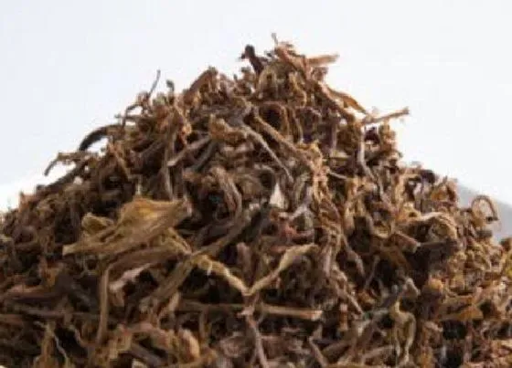 蔬菜|梅干菜和橄榄菜是一种菜吗