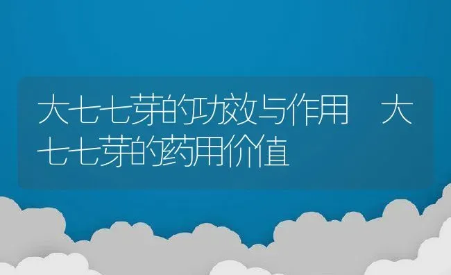 大七七芽的功效与作用 大七七芽的药用价值 | 养殖资料投稿