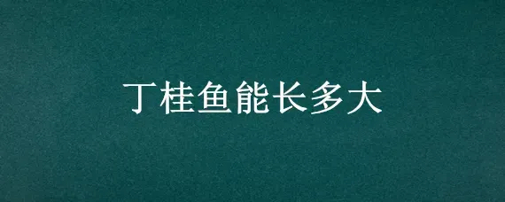 丁桂鱼能长多大