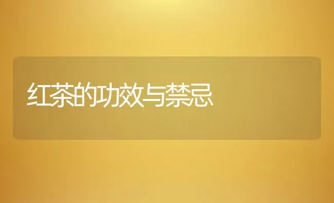 红茶的功效与禁忌 | 养殖资料投稿