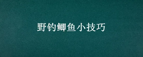 野钓鲫鱼小技巧