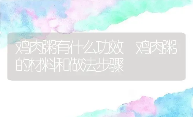 鸡肉粥有什么功效 鸡肉粥的材料和做法步骤 | 养殖资讯