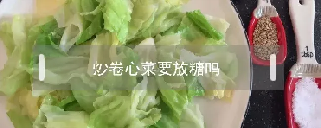 炒卷心菜要放糖吗