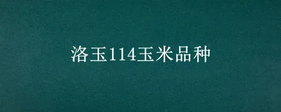 洛玉114玉米品种