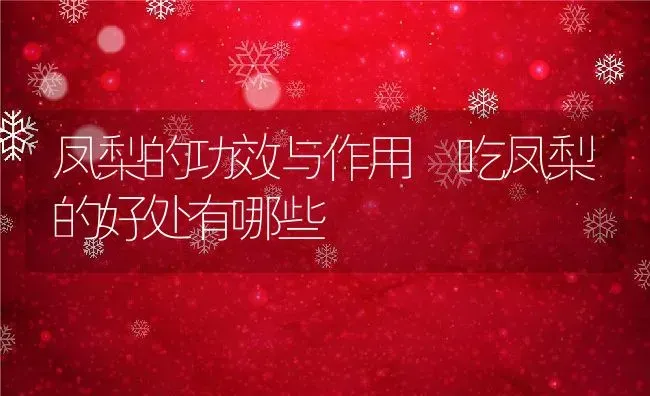 凤梨的功效与作用 吃凤梨的好处有哪些 | 养殖资料投稿