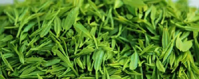 绿茶有哪些茶？