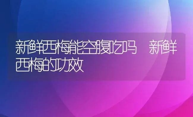 新鲜西梅能空腹吃吗 新鲜西梅的功效 | 养殖资料投稿