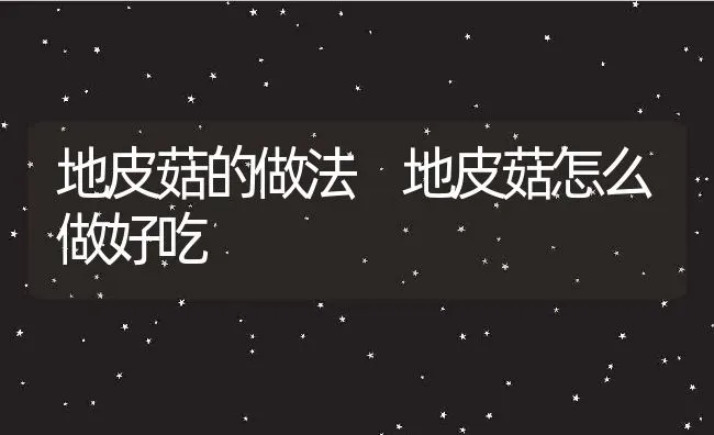 地皮菇的做法 地皮菇怎么做好吃 | 养殖资料投稿