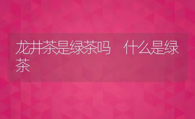 龙井茶是绿茶吗 什么是绿茶 | 养殖资料投稿