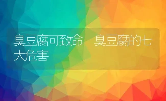 臭豆腐可致命 臭豆腐的七大危害 | 养殖资料投稿