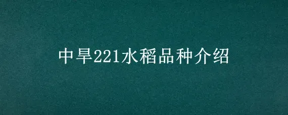 中旱221水稻品种介绍