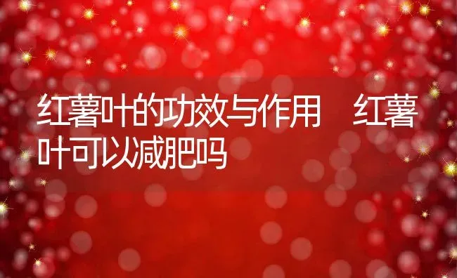 红薯叶的功效与作用 红薯叶可以减肥吗 | 养殖资料投稿