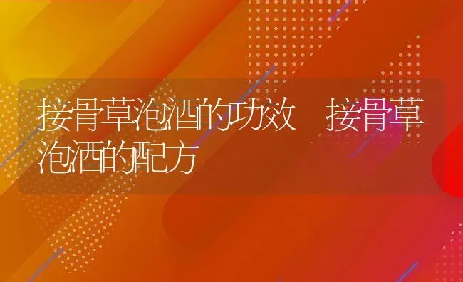 接骨草泡酒的功效 接骨草泡酒的配方 | 养殖资料投稿