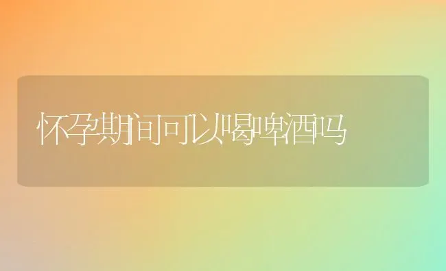 怀孕期间可以喝啤酒吗 | 养殖资料投稿