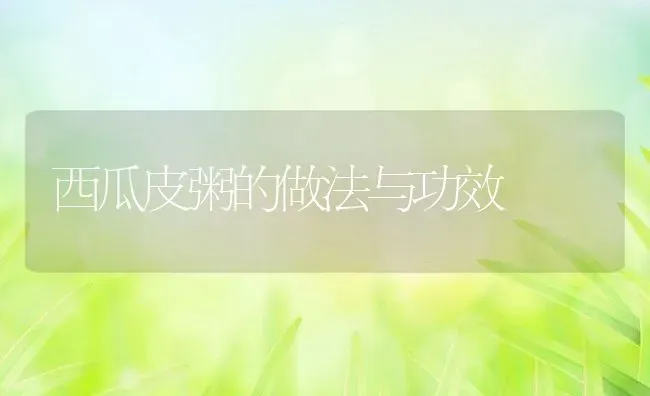 西瓜皮粥的做法与功效 | 养殖资讯