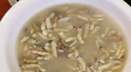 蜜蜂肉怎么做 蜜蜂肉吃了有什么效果