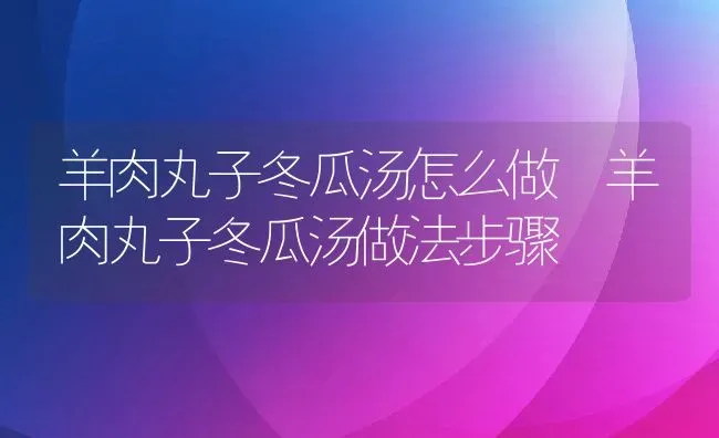 羊肉丸子冬瓜汤怎么做 羊肉丸子冬瓜汤做法步骤 | 养殖资料投稿